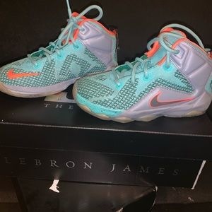 Lebron XII